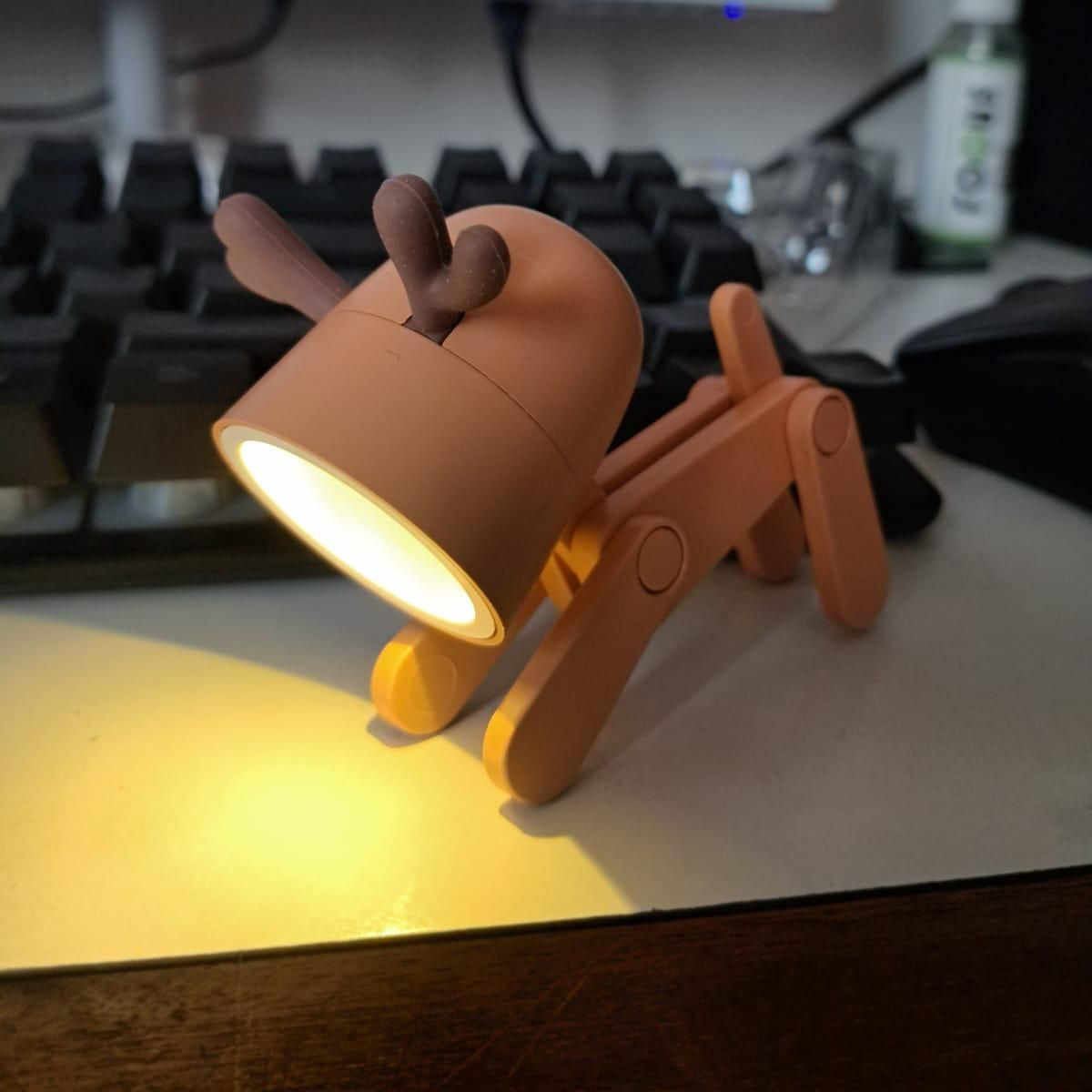 Mini LED Desk Lamp